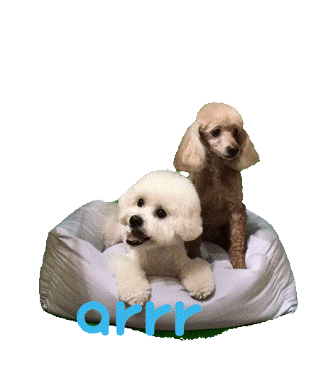 아르르 Sticker by arrr_official