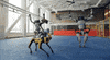 Jump Ai GIF by EsZ  Giphy World