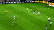 copa do brasil santos GIF by SE Palmeiras