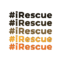 Human Trafficking Freedom Sticker by Destiny Rescue