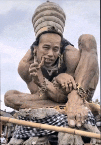 Prabowo Sawit GIF