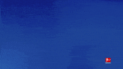 Happy Tsg Hoffenheim GIF by Bundesliga