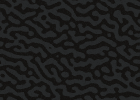 Bro John GIF by Malosi Studio