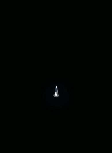 GIF by adamploomis