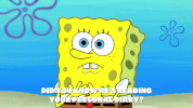 season 9 little yellow book GIF by SpongeBob SquarePants