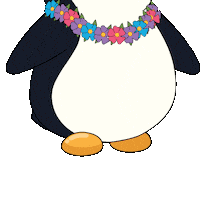 I See You Hello Sticker by Pudgy Penguins