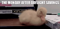 Tired Real Estate GIF by The Anna Gimpel Team
