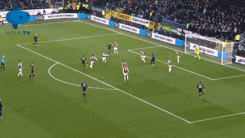 Rodrigo GIF by MolaTV
