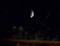 Date Night Romance GIF