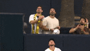 San Diego Padres Sport GIF by MLB