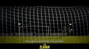 Manchester United Zlatan GIF by Signature Entertainment