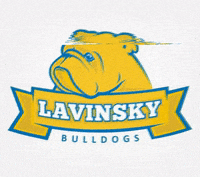 lavinskybulls lavinskybulls GIF
