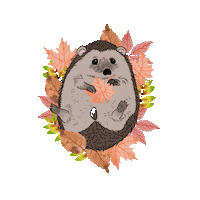 Orange Love Sticker