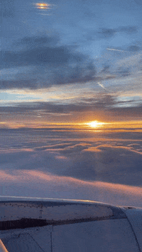 Sun Flying GIF by ArtTixo