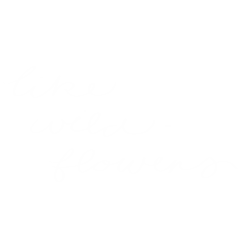 Flower Wildflower Sticker by Studio Paper