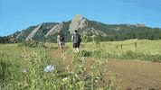 Sunglasses Hiking GIF by Zeal Optics