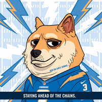 Shiba Inu Football GIF by Doge Pound