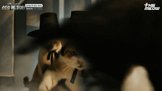 틴더스 GIF