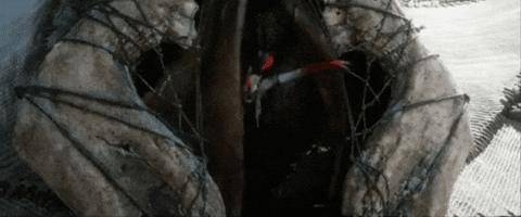 starstuffer giphygifmaker GIF