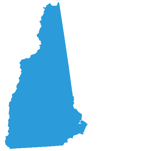 New Hampshire Democrats Sticker by Bernie Sanders