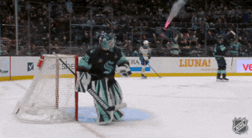 Happy Lets Go GIF by NHL