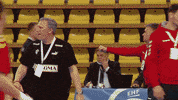 Sport Handball GIF by EHF