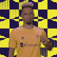 Nashville Sc Love GIF by Major League Soccer