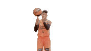 Liga Endesa Spinning Sticker by ACB