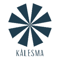 Kalesmamykonos meme fire travel vacation Sticker