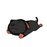 Staffordshire Bull Terrier Staffy Sticker by SBT1935