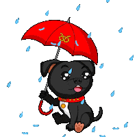 Staffordshire Bull Terrier Staffy Sticker by SBT1935
