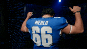 Kentucky Wildcats GIF by UK Athletics