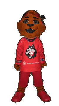 Freddy Hokej Sticker by HC Frýdek-Místek