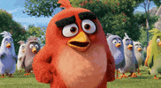 the angry birds movie what GIF by Angry Birds