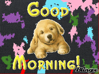 dogs GIF