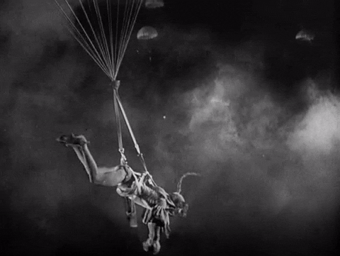 classic film falling GIF by Warner Archive