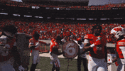 Celebrate College Football GIF by Wisconsin Badgers