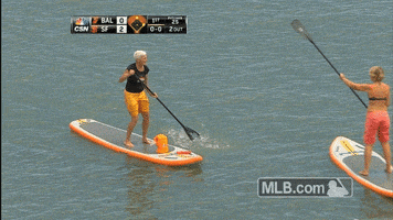 fan lol GIF by MLB