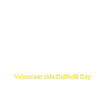 cancersocietywbop daffodilday GIF