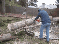 adios GIF