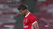 Sl Benfica Shrug GIF by Sport Lisboa e Benfica