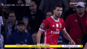 High Five Sl Benfica GIF by Sport Lisboa e Benfica