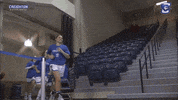 Gojays GIF by Creighton University Athletics