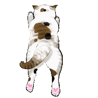 livchundesign cat bye goodbye chat Sticker