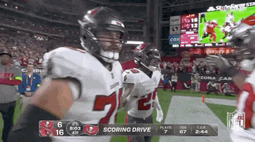 Tampa Bay Buccaneers Football GIF by NFL