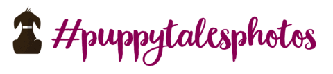 Love Dogs Dog Photography Sticker by puppytales