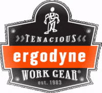 ergodyne ergodyneworkday GIF