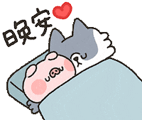Good Night Sleep Sticker