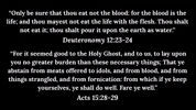 Bible Verses Blood GIF