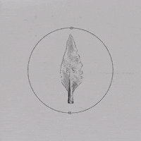 Archaeology GIF by Fáinleog